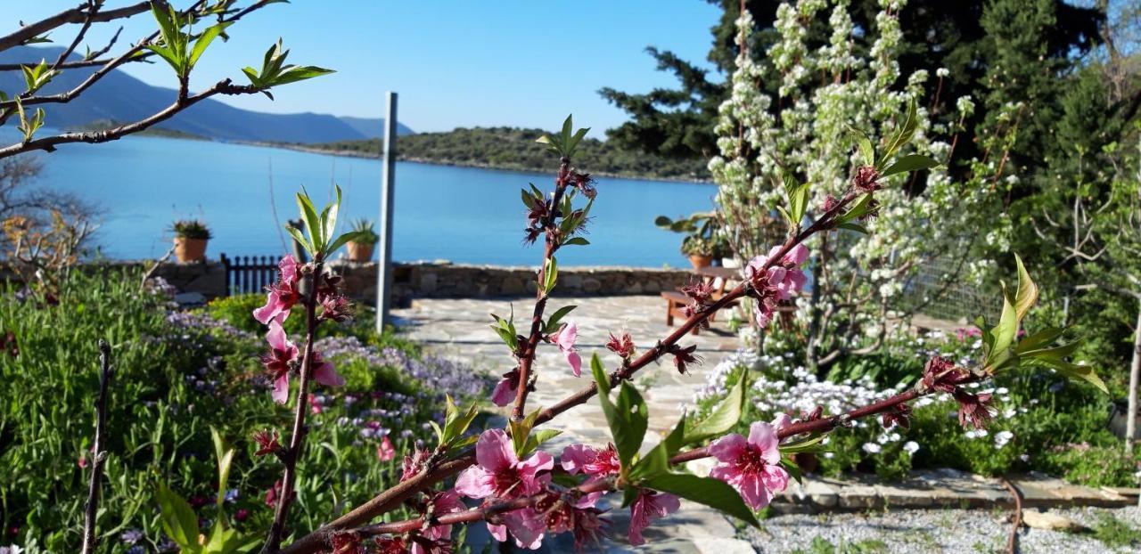 Blueline Guesthouse Agios Dimitrios  Экстерьер фото